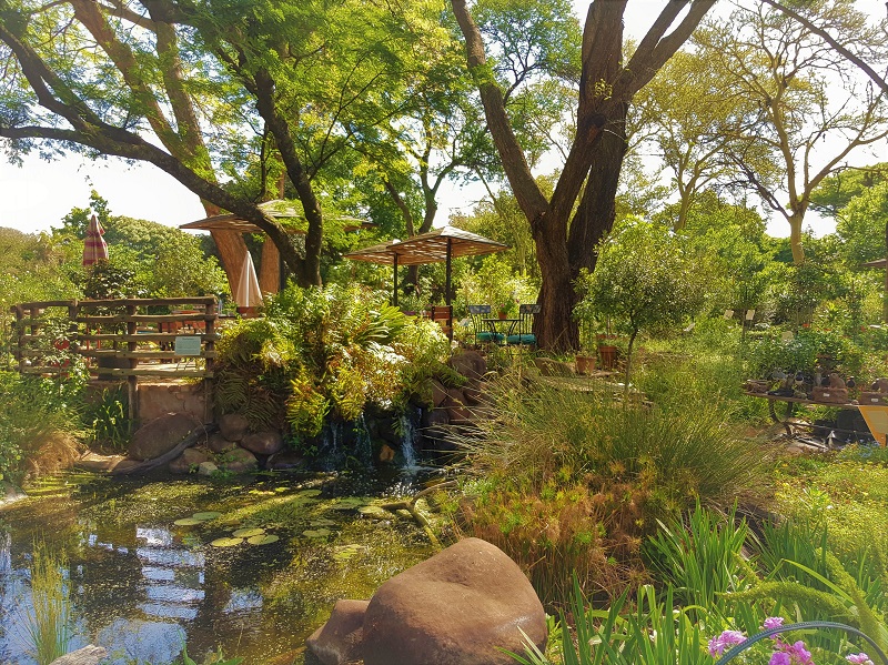 Valentines Day Special - Accommodation Muldersdirft