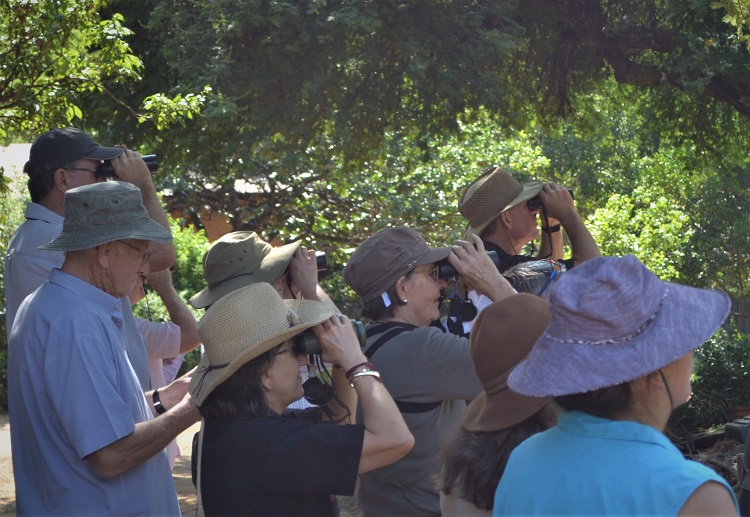 Bird watching in Johannesburg, Muldersdrift