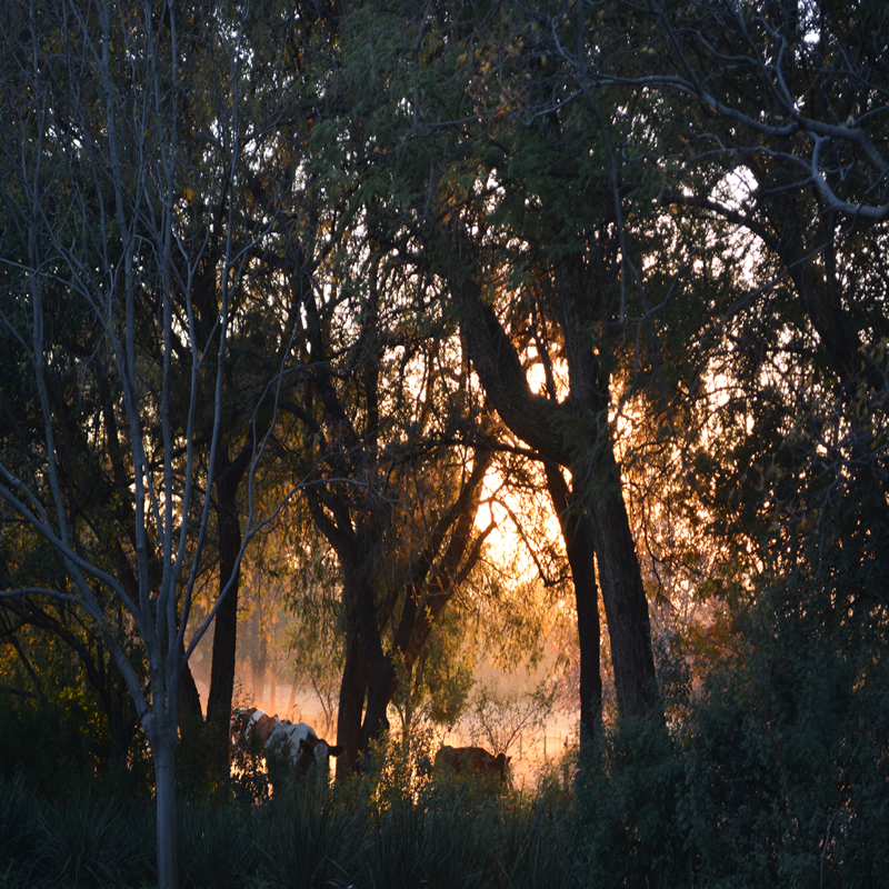 accommodation in Muldersdrift