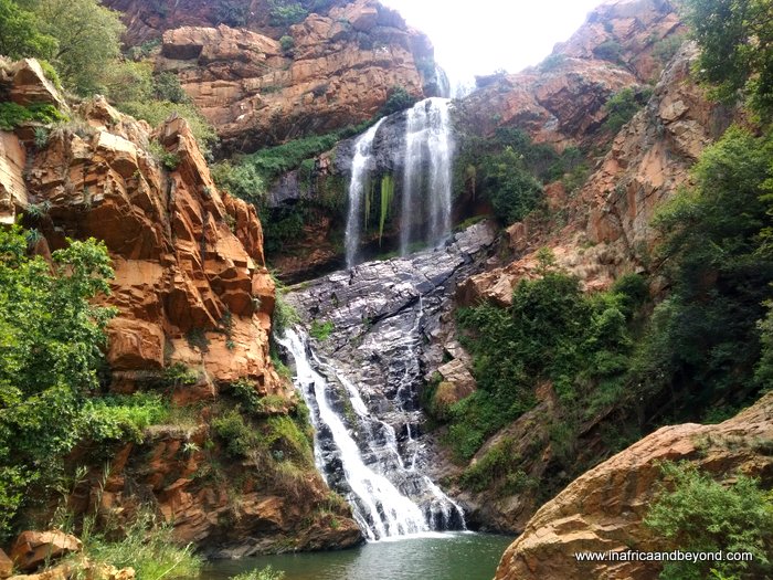 Things to do in Muldersdrift - Walter Sisulu Botantical Gardens