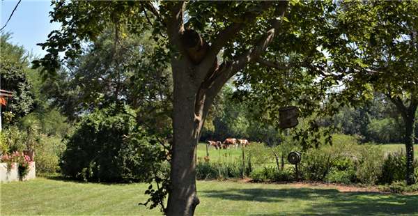 Senior-Friendly, Affordable Holiday Stays in Muldersdrift