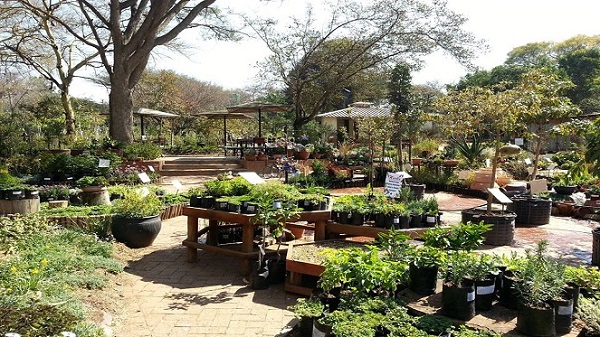Landscaper Paradise at the Random Harvest Bed and Breakfast