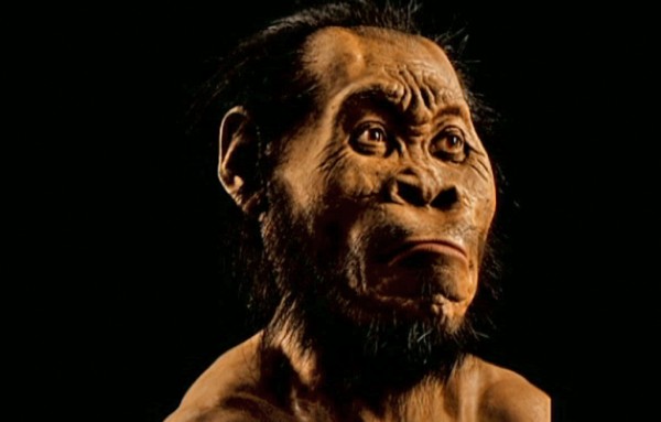 Discover Humankind from a Muldersdrift Bed & Breakfast