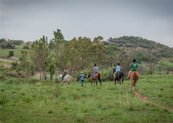 Fun Activities and Bed & Breakfast Stays in Muldersdrift