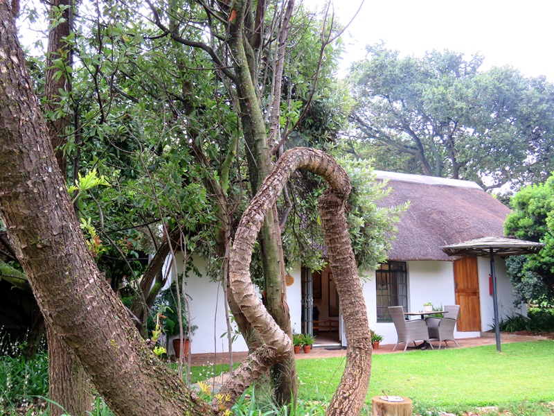 self catering accommodation Muldersdrift