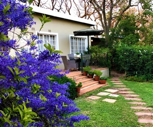 Lavender Tree Cottage