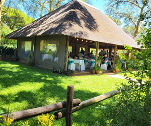 Lavender Tree Cottage